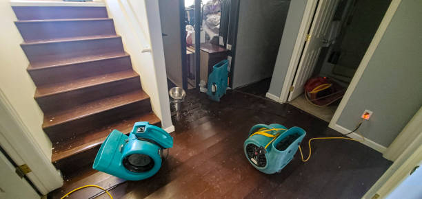 Best Water damage restoration near me  in Quincy, MI