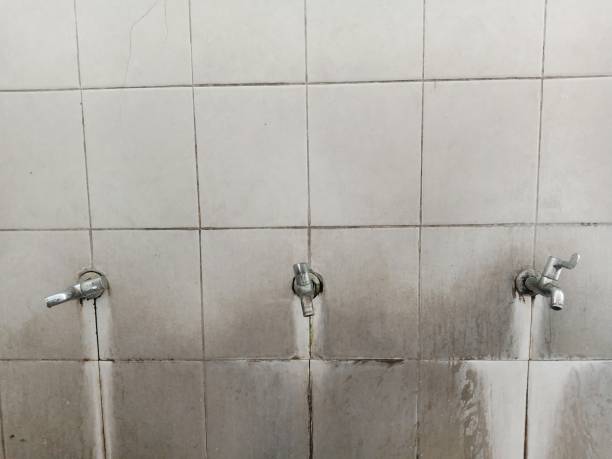 Best Fire Damage Restoration  in Quincy, MI