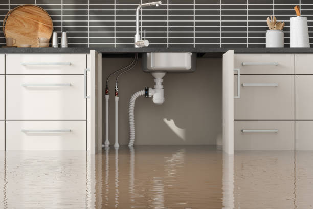 Best Emergency water damage restoration  in Quincy, MI