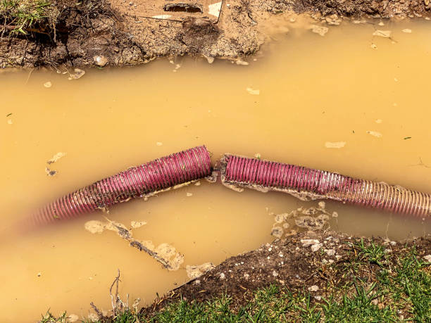 Best Emergency water damage restoration  in Quincy, MI