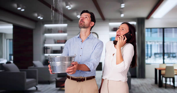 Best Emergency water extraction  in Quincy, MI