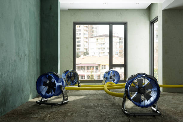 Best Commercial water damage restoration  in Quincy, MI